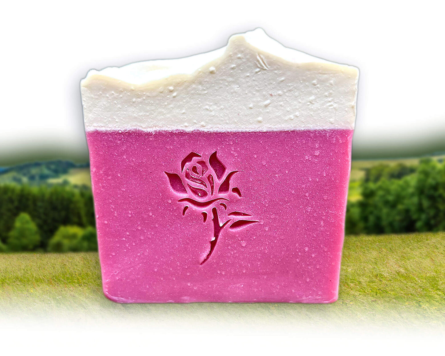 Gesang der Rose