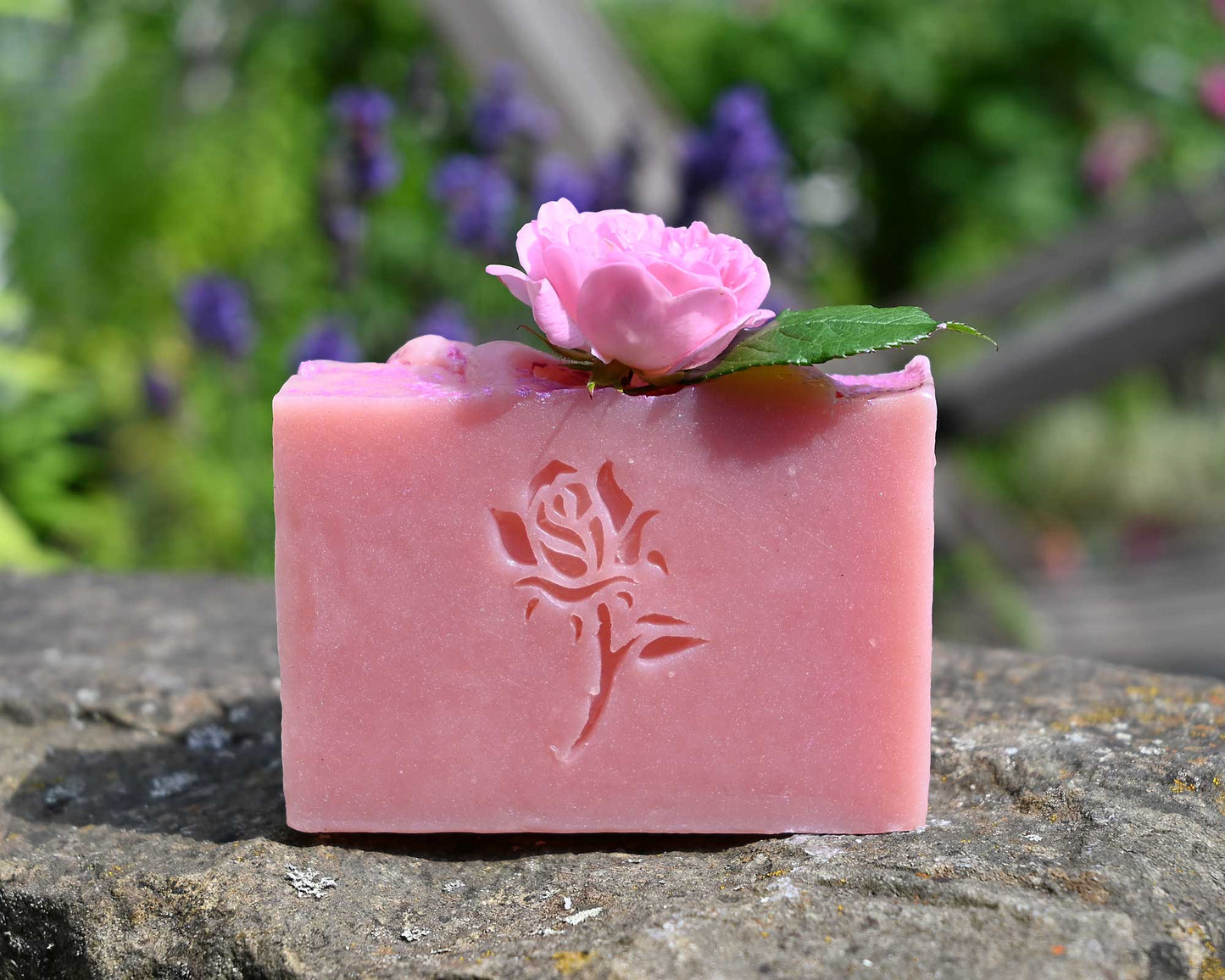 Gesang der Rose